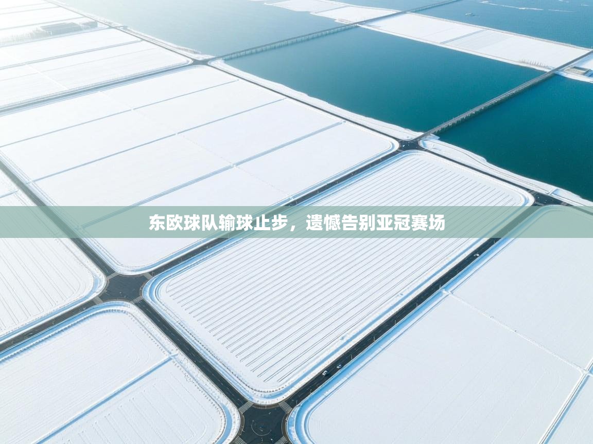 东欧球队输球止步，遗憾告别亚冠赛场  第2张