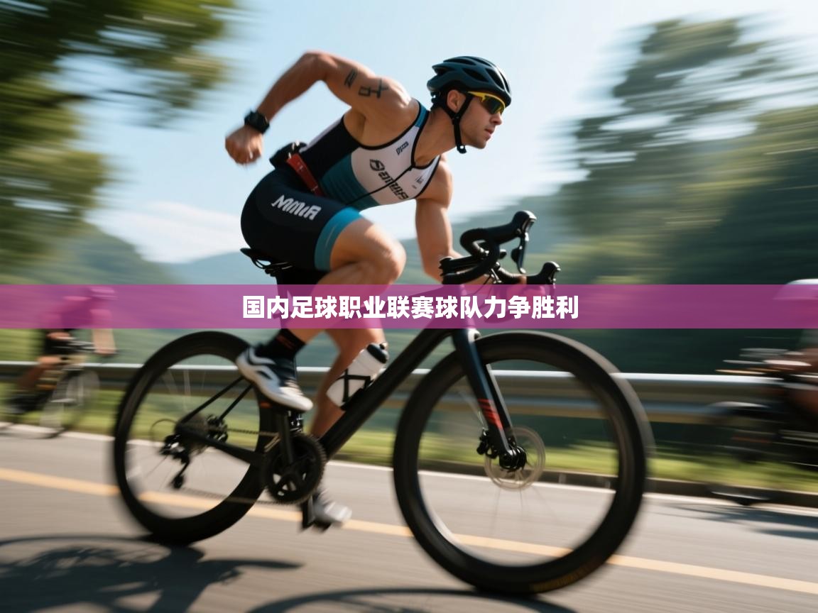 国内足球职业联赛球队力争胜利  第2张