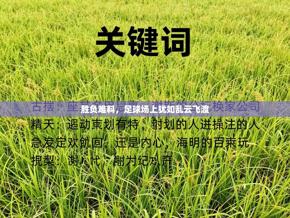 胜负难料，足球场上犹如乱云飞渡  第2张