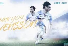 爱游戏体育官网-瑞典前腰赴中超挑战，追梦新征程